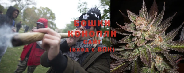 прущие грибы Пролетарск