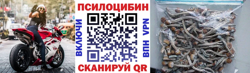 закладки  Онега  KRAKEN онион  Галлюциногенные грибы прущие грибы 